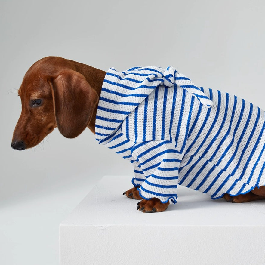 Dachshund Red & Blue Stripe Hoodie Shirt