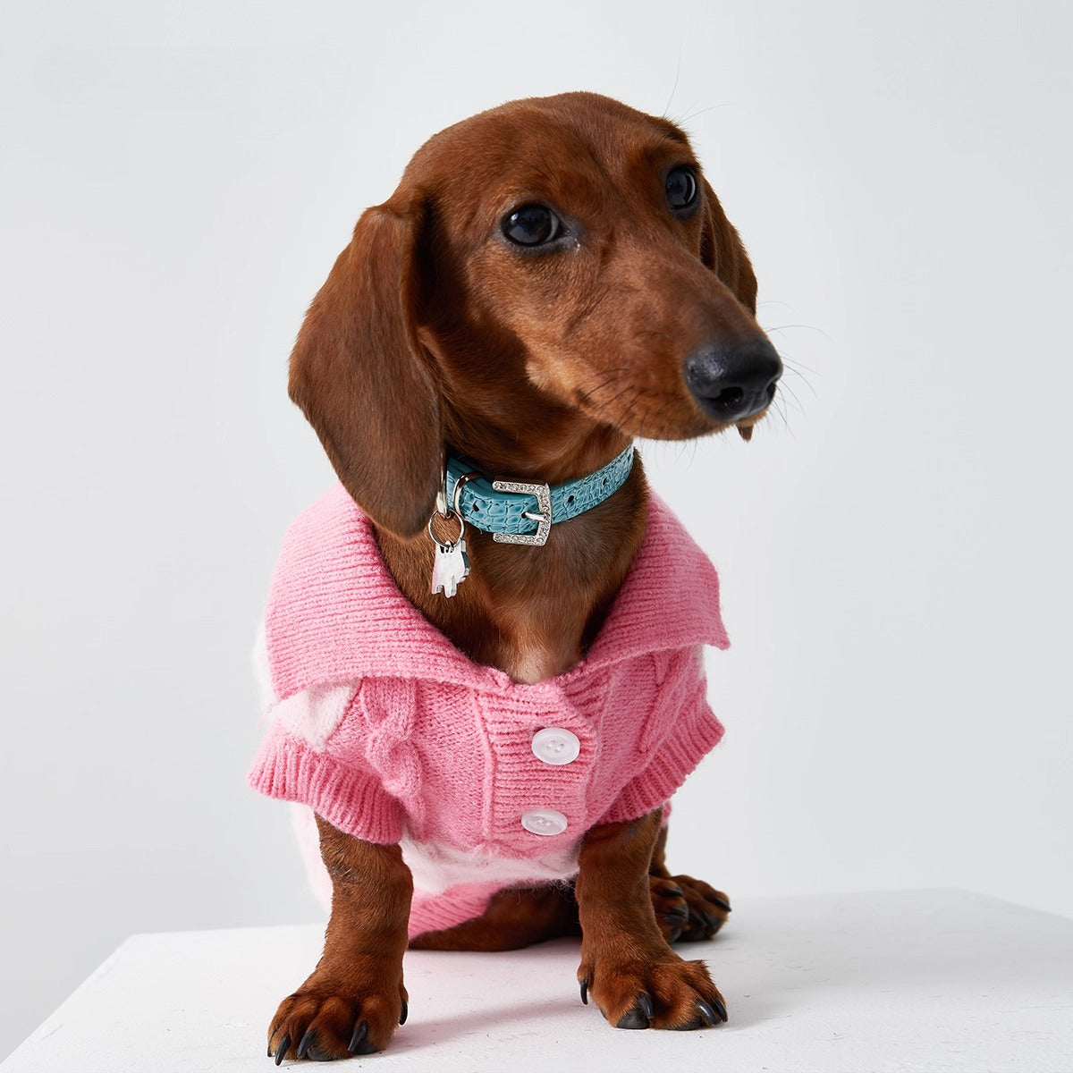 Dachshund Premium Polo Jumper Pink / 2XL