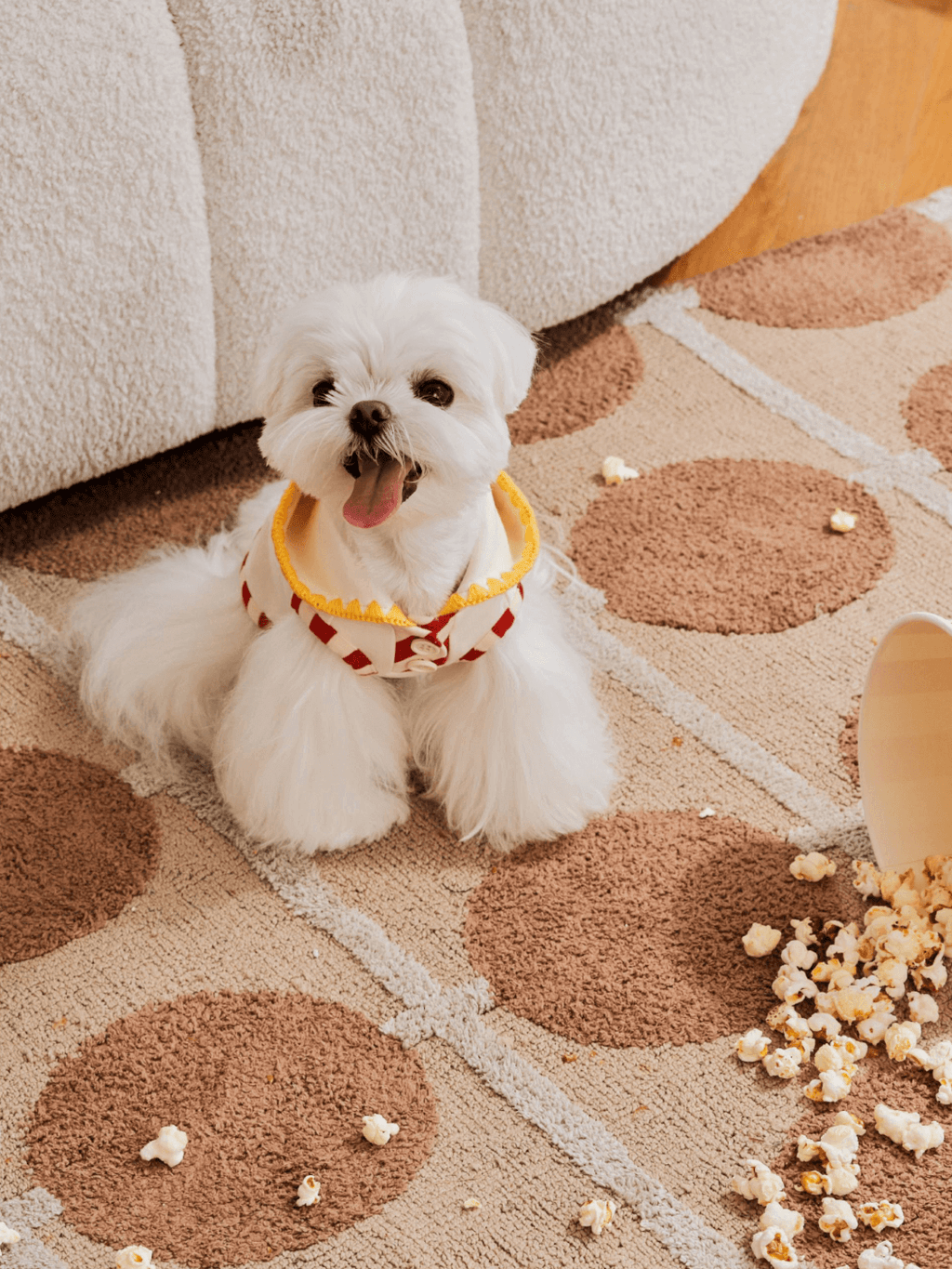 Popcorn Warm Cotton Pet Hoodie