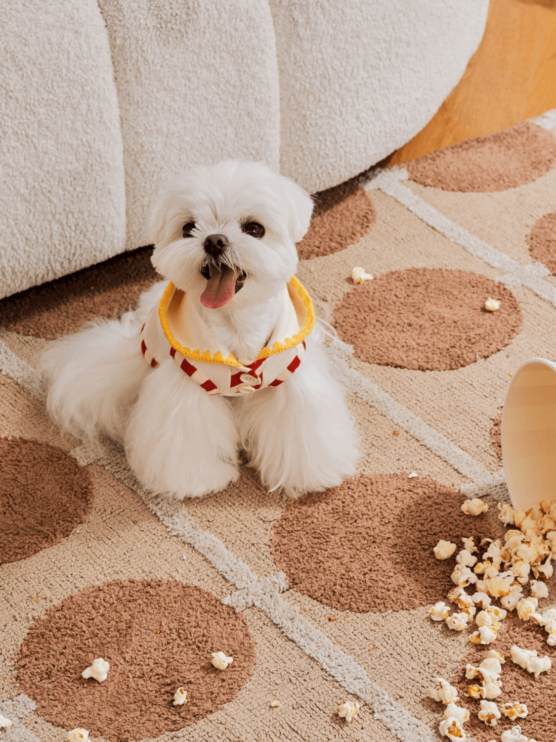 Popcorn Warm Cotton Pet Hoodie