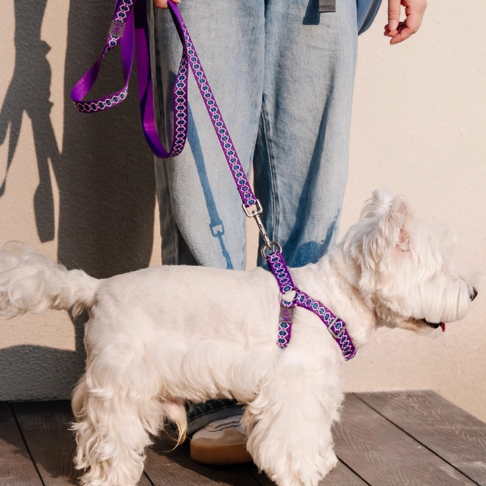 Jacquard No-Pull Adjustable Dog Harness