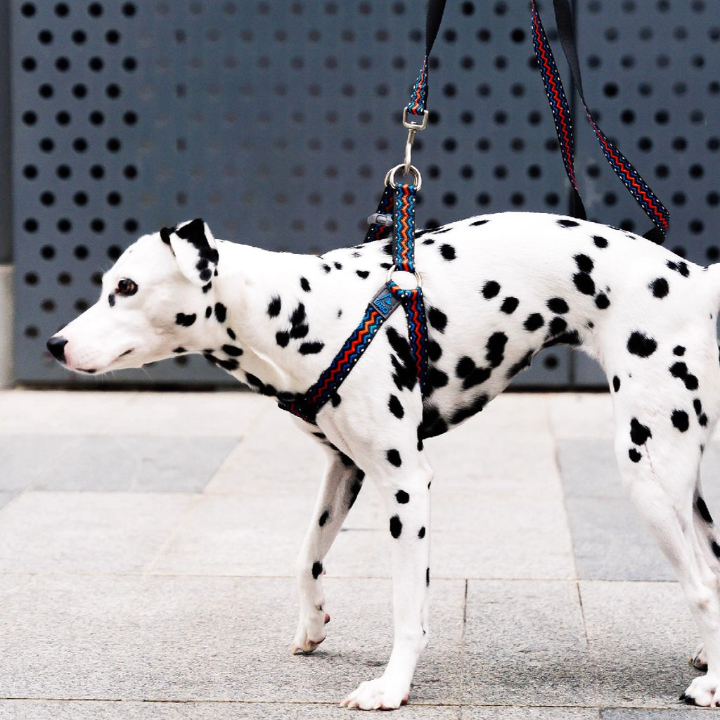 Jacquard Nylon Dog Leash