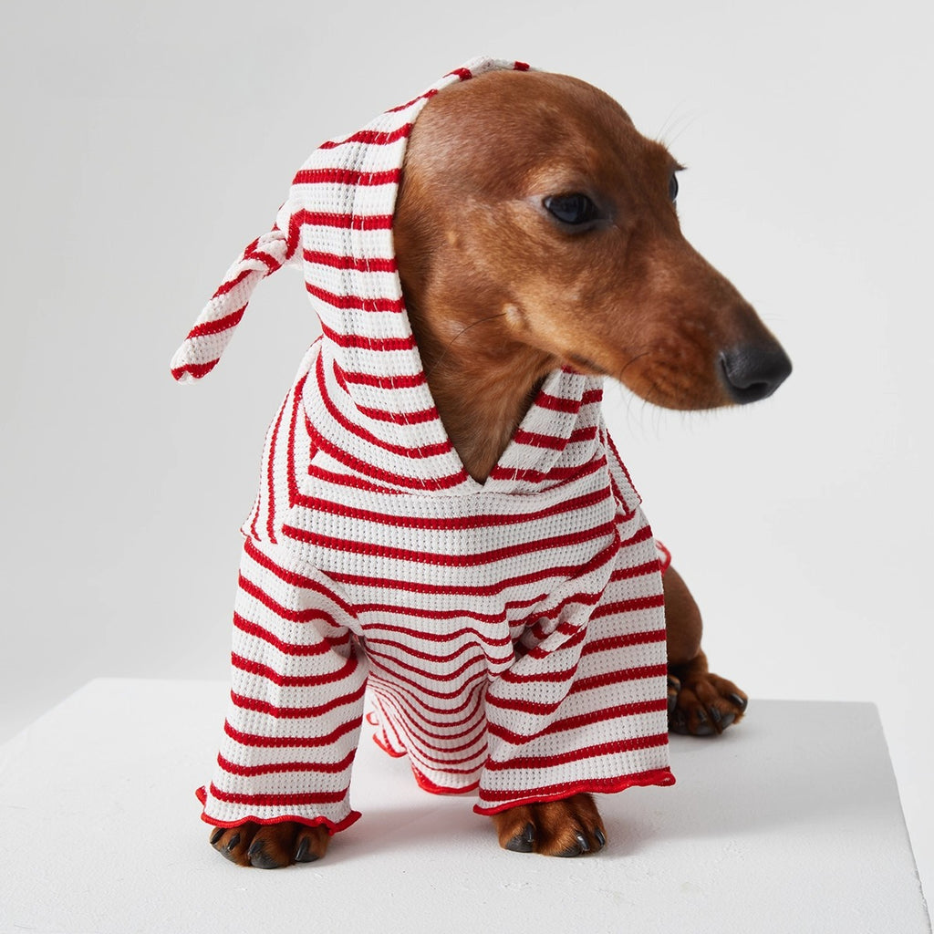 Dachshund Red & Blue Stripe Hoodie