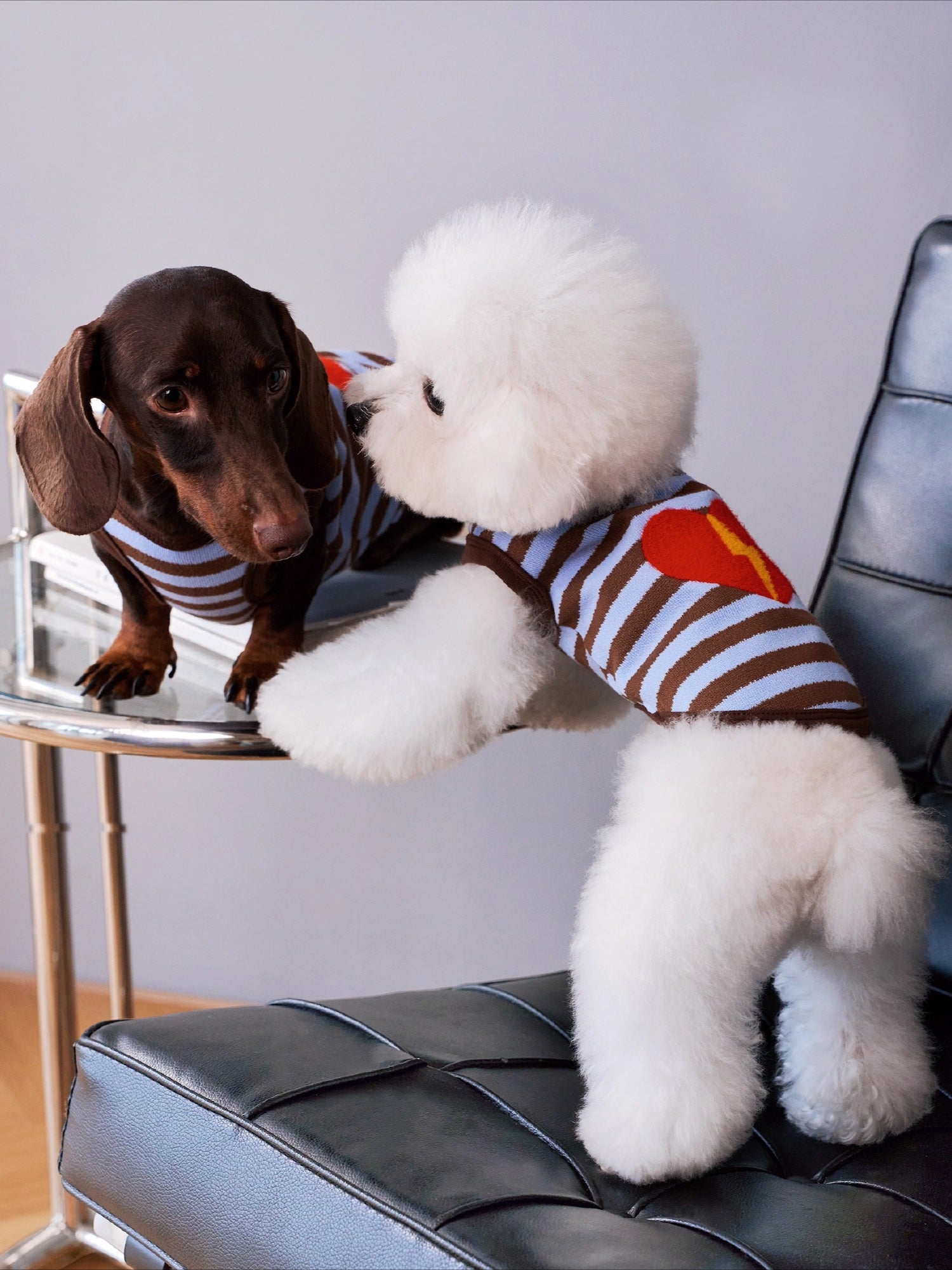 Brown-Blue Stripe Velvet Embroidered Jumper