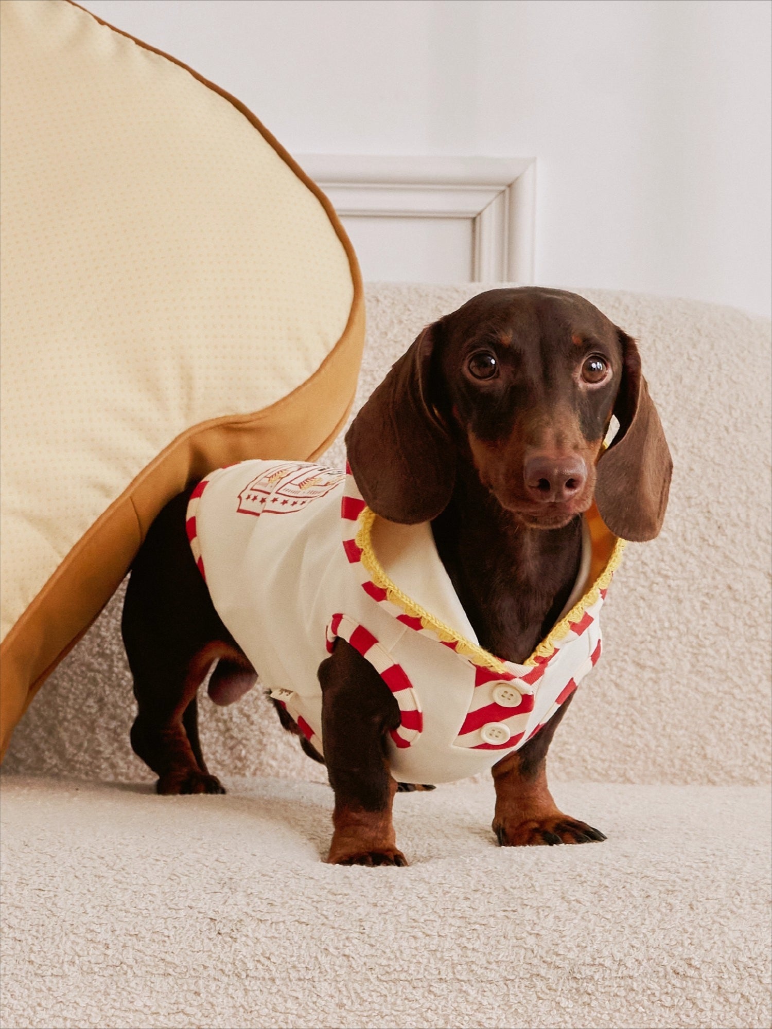 Popcorn Warm Cotton Pet Hoodie