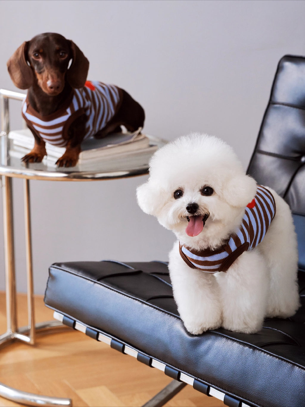 Brown-Blue Stripe Velvet Embroidered Sweater