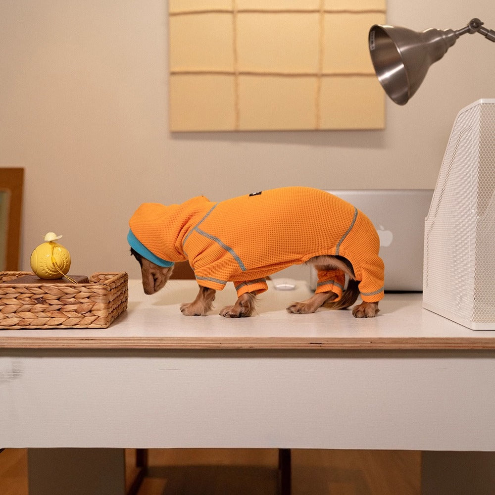 Dachshund Waffle Knit Hoodie Onesie