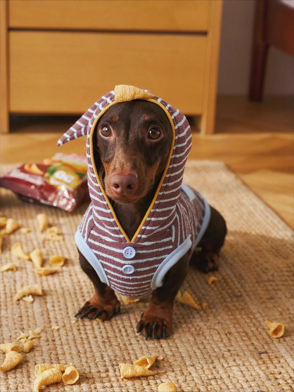 Warm Stripe Pet Hoodie Pajama