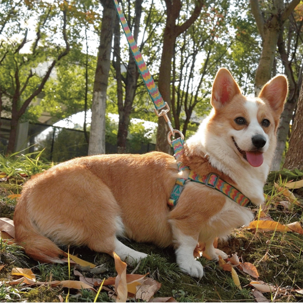 Jacquard No-Pull Adjustable Dog Harness Candy Tricolor / L