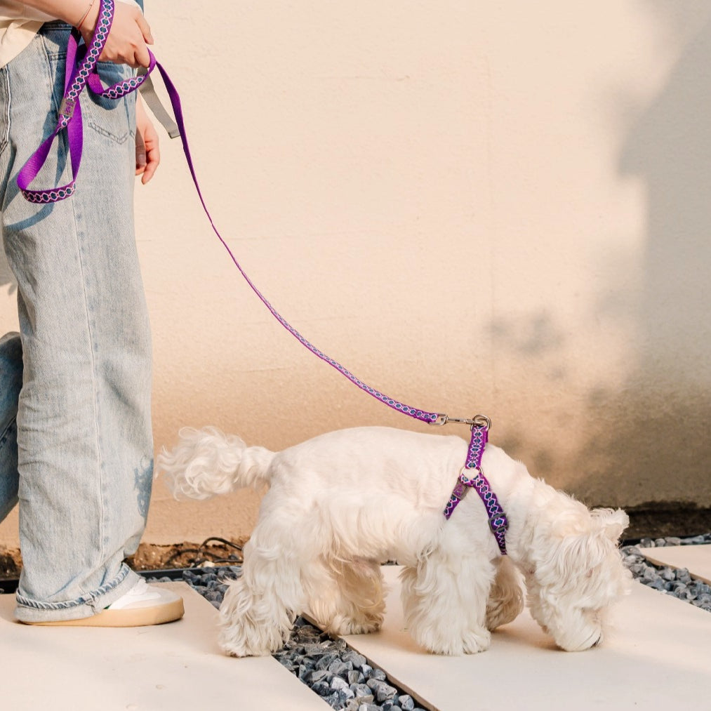 Jacquard No-Pull Adjustable Dog Harness