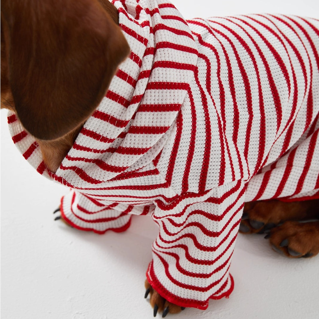 Dachshund Red & Blue Stripe Hoodie Shirt