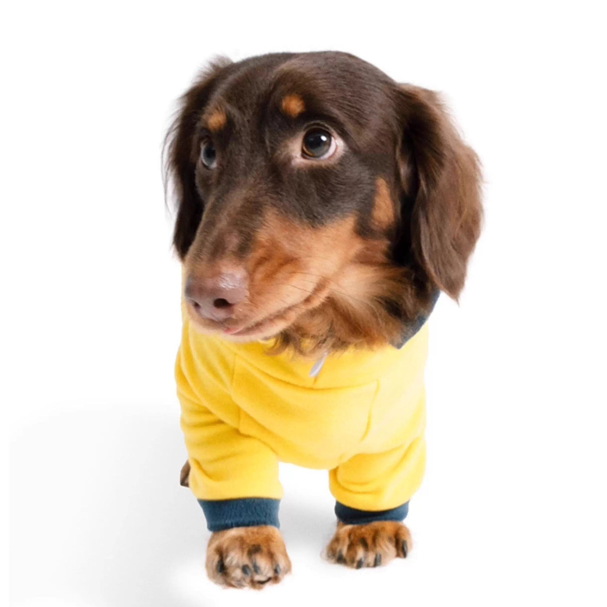 Dachshund Warm Stretchy Onesie