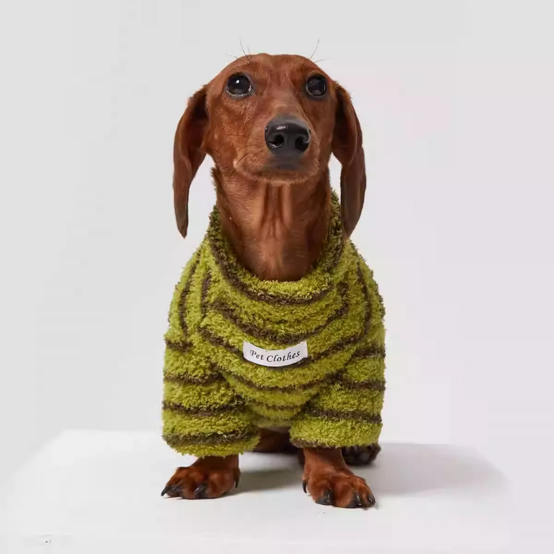 Dachshund Warm Striped Dog Jumper