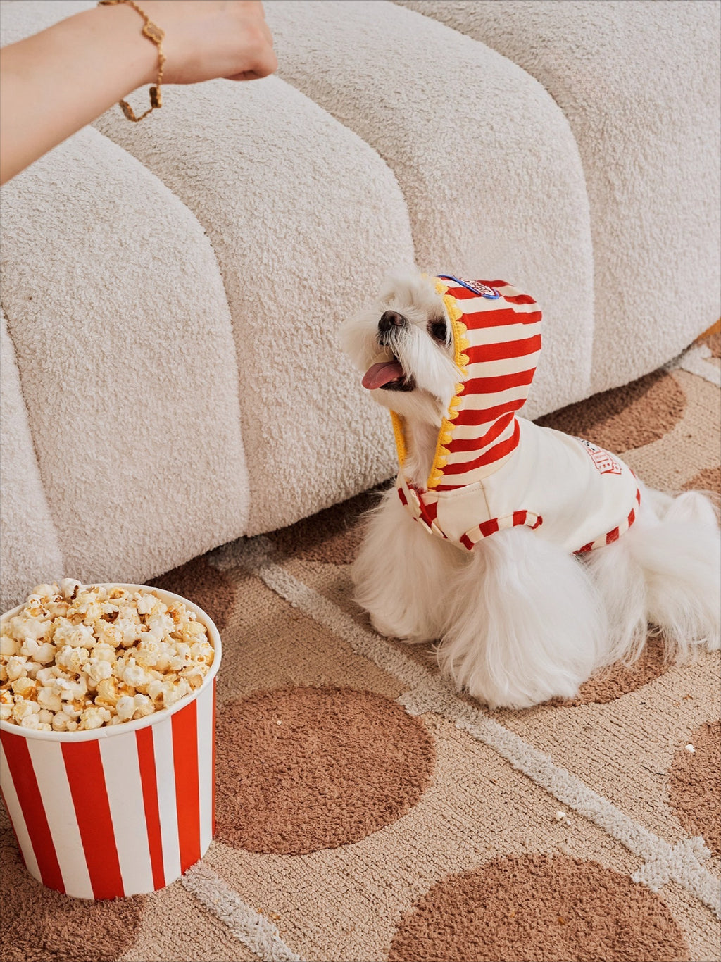 Popcorn Warm Cotton Pet Hoodie