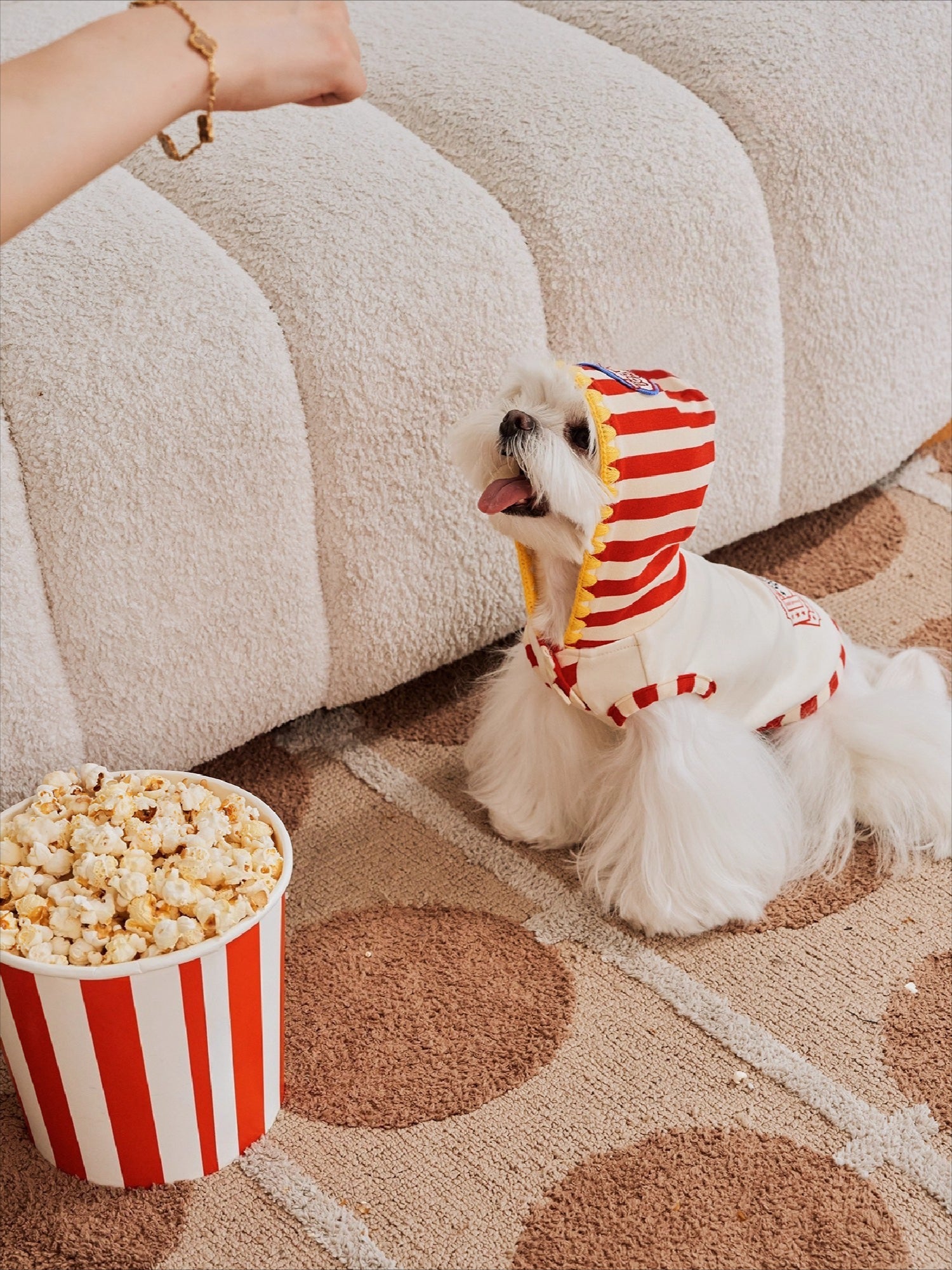 Popcorn Warm Cotton Pet Hoodie