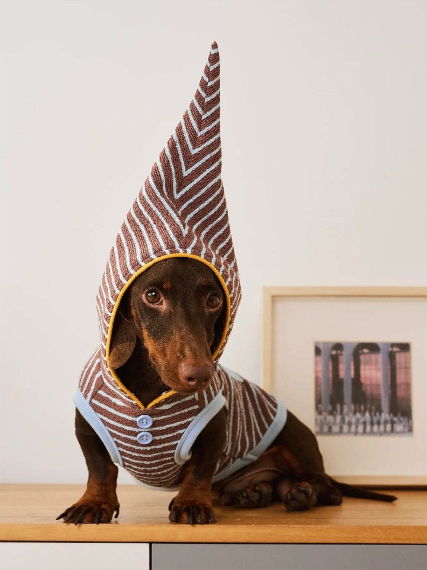 Warm Stripe Pet Hoodie Sweatshirt