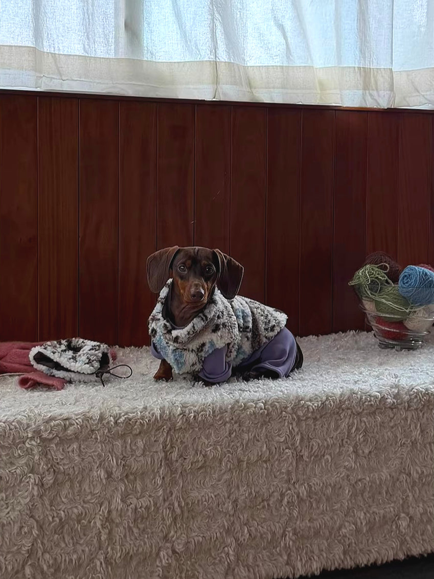 Fair Isle Dog Jumper and Hat