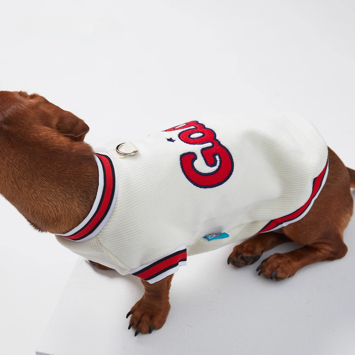 Dachshund Red-White Jumper Dog Sweatshirt