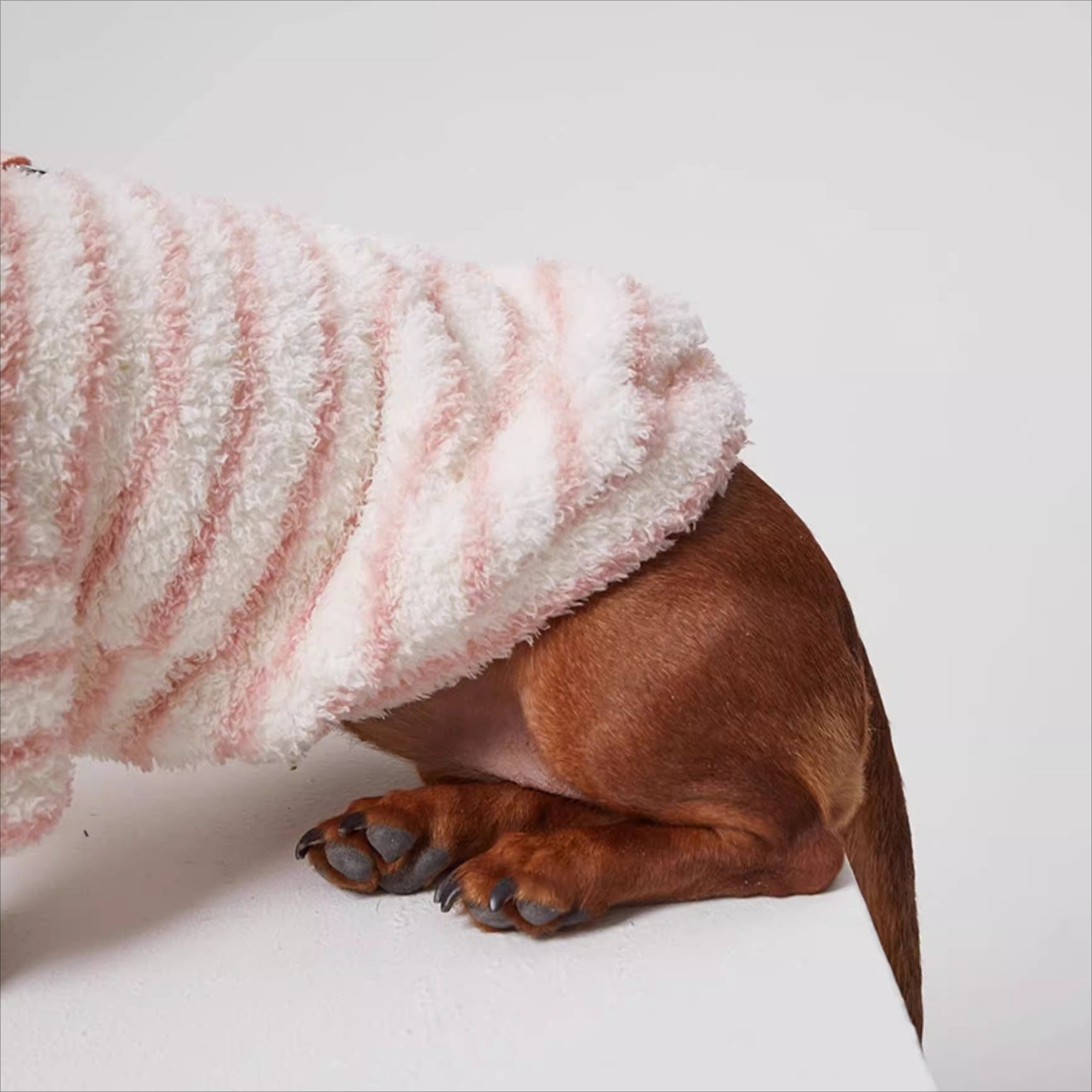 Dachshund Warm Striped Jumper