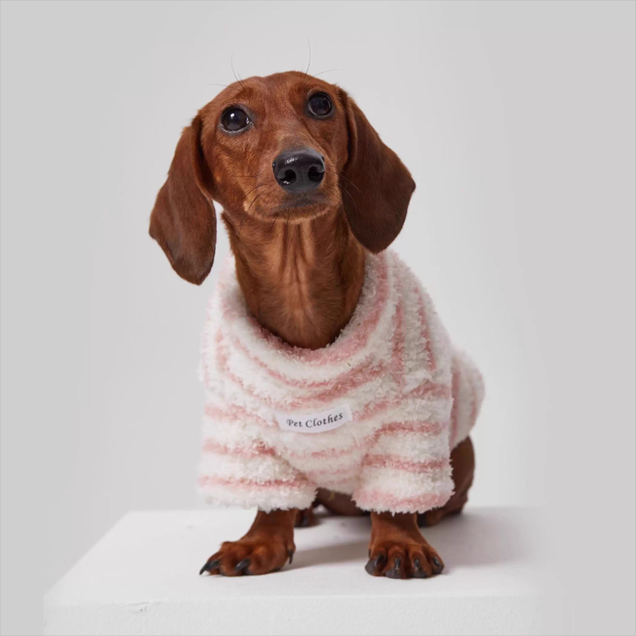 Dachshund Warm Striped Dog Jumper
